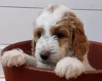 processed/0786cea1-76f8-4ed4-9696-f23f8004171a/facility/d4c7dbe4-c827-4a61-8f2b-38e76fb86a3c