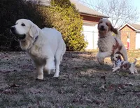 processed/0786cea1-76f8-4ed4-9696-f23f8004171a/facility/ee682f66-0c6e-4360-813f-e7ce4457856e