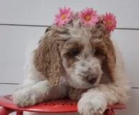 processed/0786cea1-76f8-4ed4-9696-f23f8004171a/facility/ff071f47-7c2b-420e-a424-c85b0ce7bd18