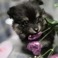 processed/07871393-1b95-4ac6-a78e-e4a8156cb01c/facility/12502df3-4e6d-43df-b40b-9dc53fa698db