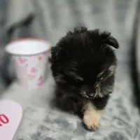 processed/07871393-1b95-4ac6-a78e-e4a8156cb01c/facility/58296112-fbc5-4a3c-98d4-a0d4fce34306