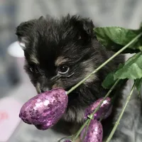 processed/07871393-1b95-4ac6-a78e-e4a8156cb01c/facility/806e053d-385c-43db-a027-549978b90fc9