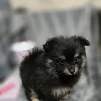 processed/07871393-1b95-4ac6-a78e-e4a8156cb01c/facility/bd3c6d05-0403-4d8b-b04a-4977c3d28213