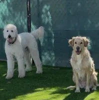 processed/07954c23-5995-4001-a309-7d18c55f19cd/listing/4666d490-afb8-4652-b0ed-34173d0d84de/4e9b89dd-fb63-4943-a0d5-653a30fca4f1