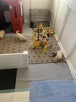 processed/07954c23-5995-4001-a309-7d18c55f19cd/listing/4666d490-afb8-4652-b0ed-34173d0d84de/53685e96-66bf-474d-8cad-1025fd67823b