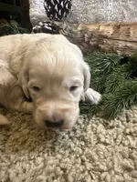 processed/07954c23-5995-4001-a309-7d18c55f19cd/listing/4666d490-afb8-4652-b0ed-34173d0d84de/75cc80cc-c7a8-494e-bc79-7fc67bdd56f8