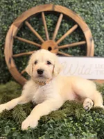 processed/07954c23-5995-4001-a309-7d18c55f19cd/listing/4666d490-afb8-4652-b0ed-34173d0d84de/993654e9-91bc-4af2-8b82-e4bd5cc1ec89