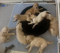 processed/07954c23-5995-4001-a309-7d18c55f19cd/listing/4666d490-afb8-4652-b0ed-34173d0d84de/99934f26-849f-46d8-b5bb-7193b34890b7