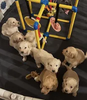 processed/07954c23-5995-4001-a309-7d18c55f19cd/listing/4666d490-afb8-4652-b0ed-34173d0d84de/af5c3c26-7fe7-4434-a7ef-881f96f63578