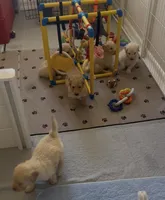 processed/07954c23-5995-4001-a309-7d18c55f19cd/listing/4666d490-afb8-4652-b0ed-34173d0d84de/ecd1b2ba-c179-4526-b026-9bd7f4407b64