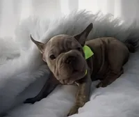 processed/07955126-11bb-414f-ae82-3c7f9c9965b2/listing/030ee424-9c8f-46fa-b986-96f9104bdc52/028d0171-e822-4b05-a912-dc35628db5e1