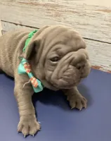 processed/07955126-11bb-414f-ae82-3c7f9c9965b2/listing/030ee424-9c8f-46fa-b986-96f9104bdc52/49b170d6-24e4-4839-b13c-bb4ddf29eaa4