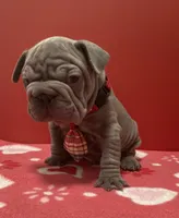 processed/07955126-11bb-414f-ae82-3c7f9c9965b2/listing/030ee424-9c8f-46fa-b986-96f9104bdc52/5454e78d-3e14-4172-b991-9ad2f7047337