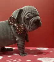 processed/07955126-11bb-414f-ae82-3c7f9c9965b2/listing/030ee424-9c8f-46fa-b986-96f9104bdc52/8fad1e63-8fda-45fc-b36e-2f731bed3d13