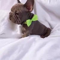 processed/07955126-11bb-414f-ae82-3c7f9c9965b2/listing/030ee424-9c8f-46fa-b986-96f9104bdc52/c3865b22-6db2-4a47-b6b1-80fdec87eff2