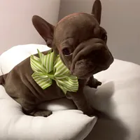 processed/07955126-11bb-414f-ae82-3c7f9c9965b2/listing/13a0ca93-cd59-4680-9daf-2d752f11d988/77a390f0-948e-47be-8b30-49318bef28fe