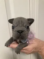 processed/07955126-11bb-414f-ae82-3c7f9c9965b2/listing/13a0ca93-cd59-4680-9daf-2d752f11d988/abdd1841-4049-401a-a894-af72058d46d8