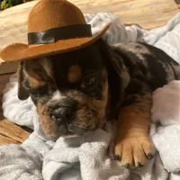 processed/07955126-11bb-414f-ae82-3c7f9c9965b2/listing/30c0e956-5681-43ec-ab20-0308b5bf9828/051389eb-a37e-4d13-b4b4-3caba3b6cd37