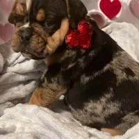 processed/07955126-11bb-414f-ae82-3c7f9c9965b2/listing/30c0e956-5681-43ec-ab20-0308b5bf9828/b23a71be-a0d4-46cf-b476-35c959c0bbb3