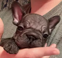 processed/07955126-11bb-414f-ae82-3c7f9c9965b2/listing/b80a0802-9d62-49f8-a6b7-93cec87f60aa/31300071-8222-4d14-852a-ce1d6816cd17