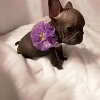 processed/07955126-11bb-414f-ae82-3c7f9c9965b2/listing/b80a0802-9d62-49f8-a6b7-93cec87f60aa/d6885f03-bc96-47f1-9387-f094e904142e