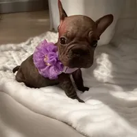 processed/07955126-11bb-414f-ae82-3c7f9c9965b2/listing/b80a0802-9d62-49f8-a6b7-93cec87f60aa/ff64a07c-c70d-43cd-983f-1029ea7a7601