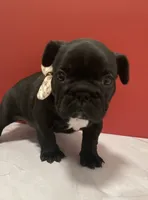 processed/07955126-11bb-414f-ae82-3c7f9c9965b2/listing/d85b5599-7771-4be5-84aa-3337ba9c6d20/3efdc502-4696-4eb9-800d-56bb6c002d01