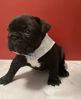 processed/07955126-11bb-414f-ae82-3c7f9c9965b2/listing/d85b5599-7771-4be5-84aa-3337ba9c6d20/4c2d8f28-464b-45f9-b714-579022c3b18c