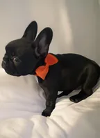 processed/07955126-11bb-414f-ae82-3c7f9c9965b2/listing/d85b5599-7771-4be5-84aa-3337ba9c6d20/791f9b9a-5082-42fd-bc5a-db945c770e74