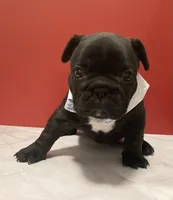 processed/07955126-11bb-414f-ae82-3c7f9c9965b2/listing/d85b5599-7771-4be5-84aa-3337ba9c6d20/8db99382-ed1f-45ed-8e89-74a53354130d