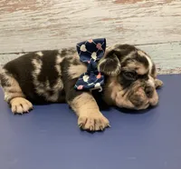 processed/07955126-11bb-414f-ae82-3c7f9c9965b2/listing/dffbf404-a4b0-4156-adab-b5f6371196f6/907f9754-1e71-4f85-b6db-052f56e4133b