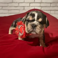 processed/07955126-11bb-414f-ae82-3c7f9c9965b2/listing/dffbf404-a4b0-4156-adab-b5f6371196f6/de785f72-f9b5-4866-8ff1-f5ac80c89931