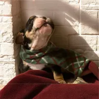 processed/07955126-11bb-414f-ae82-3c7f9c9965b2/listing/e0bfdb72-6cf4-4a1e-b793-730759b0f222/39bdb6be-747d-4feb-be96-a90654838aae