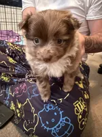 processed/079635c4-8c71-41b8-8890-cc8a7fde810b/listing/8620196f-9404-4ad4-bcf6-db3520444cf7/002ba1e6-9adc-405e-ba0b-c80d880082ea