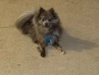 processed/079635c4-8c71-41b8-8890-cc8a7fde810b/listing/8620196f-9404-4ad4-bcf6-db3520444cf7/35a48734-ef24-4f76-a143-43060fe838b4