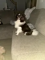 processed/079635c4-8c71-41b8-8890-cc8a7fde810b/listing/8620196f-9404-4ad4-bcf6-db3520444cf7/863677d3-0a45-4ce6-8dcb-3d56098de818