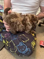 processed/079635c4-8c71-41b8-8890-cc8a7fde810b/listing/8620196f-9404-4ad4-bcf6-db3520444cf7/fba2c71c-60ca-43a6-914f-a7c67ab22fd7