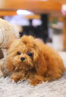 processed/07978f2b-e0fa-4692-ac8b-0b83be4e980e/facility/c0d0bfb6-bf22-4999-b801-dd9c047bdcc8