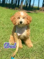 processed/07978f2b-e0fa-4692-ac8b-0b83be4e980e/listing/d9c05346-8b27-4014-a61d-e3f4633113fd/39b04ca9-4e28-48c8-b920-f9e6d55a75f9