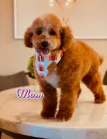 processed/07978f2b-e0fa-4692-ac8b-0b83be4e980e/listing/d9c05346-8b27-4014-a61d-e3f4633113fd/b6265222-c48d-4410-8f18-e40c93738cf1