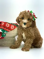 processed/07978f2b-e0fa-4692-ac8b-0b83be4e980e/listing/e64c5c05-7b19-4812-9496-d7c729c5fac1/4f287691-7e30-4965-b9fd-a37bc311bb35