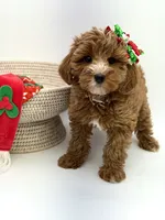 processed/07978f2b-e0fa-4692-ac8b-0b83be4e980e/listing/e64c5c05-7b19-4812-9496-d7c729c5fac1/7b8fc58a-07f4-492e-9914-6e44d3b73721