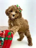 processed/07978f2b-e0fa-4692-ac8b-0b83be4e980e/listing/e64c5c05-7b19-4812-9496-d7c729c5fac1/b9310560-6660-4bc8-b643-105ea95bce63