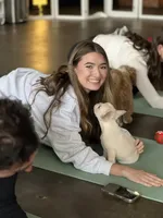 Cream, a male French Bulldog for sale in Carrollton, TX – Photo 3 of 8