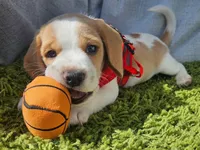 processed/07ac51bb-d6bc-41b7-9efe-d4a0abc67c96/listing/3e3c7f7f-638a-4699-a3e0-8d9efb78f7c3/701ca080-4bb0-4e1c-9531-3fed853f6c8d