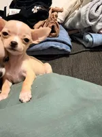 processed/07ac51bb-d6bc-41b7-9efe-d4a0abc67c96/listing/90077d0b-47f0-4508-b8c2-132486d81182/ba0bff72-7238-47a5-a624-64af1865657f