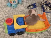 AKC- Lord, a female Boston Terrier for sale in The Woodlands, TX – Photo 6 of 6