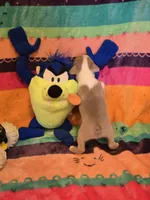 AKC- Lord, a female Boston Terrier for sale in The Woodlands, TX – Photo 3 of 6