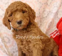 processed/07bccfd1-65b5-4a5e-8e46-1b0d3ae0e638/listing/040b3fab-40ec-4a1c-9044-96013ffdf4a3/1989d22e-633d-4526-a1f7-9ef58edfd74a