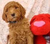 processed/07bccfd1-65b5-4a5e-8e46-1b0d3ae0e638/listing/040b3fab-40ec-4a1c-9044-96013ffdf4a3/21823d6a-b39f-42cf-b540-689584f86fa0